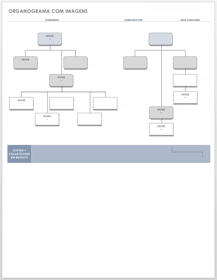Organograma Com Imagens